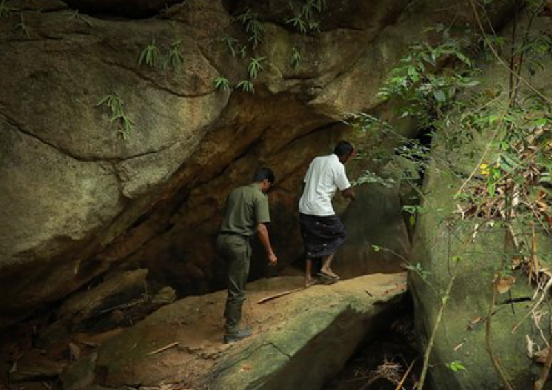 Mankulam Tiger Cave