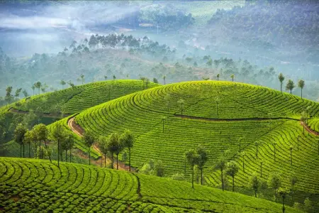 munnar tour package