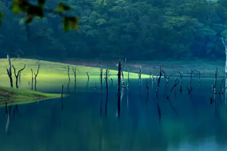 Thekkady Tour Package Hill view homestay